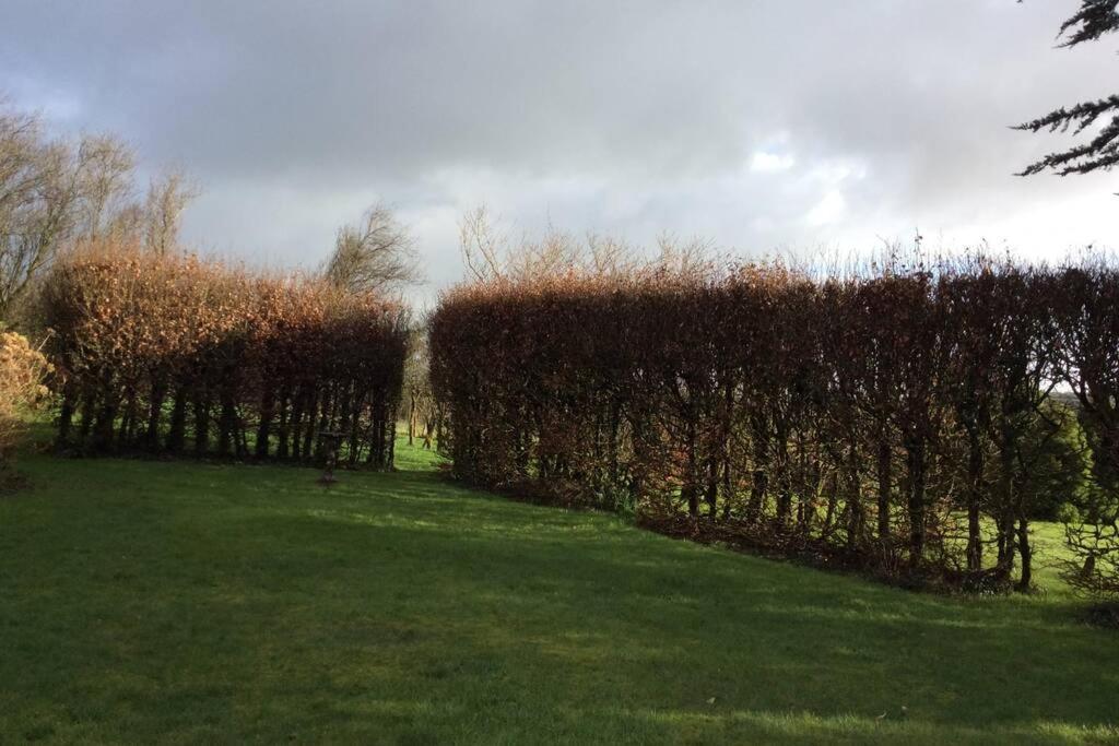 Vila Okewoon Farm Lanivet Exteriér fotografie
